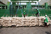 Fuite du cacao / Boa Bonzou, porte-parole du Président la République, chargé du monde agricole : ‘‘Nous étions en train de tuer notre économie au profit d’un tiers’’